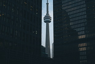 CN Tower, city, CN Tower, Toronto, Canada HD wallpaper