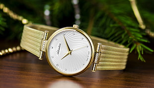 gold-colored analog watch with mesh strap near green Christmas tree