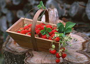 red strawberry on brown wooden basket