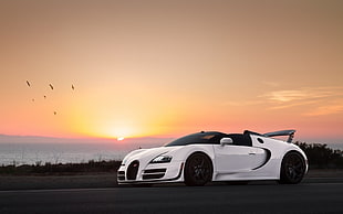 white coupe, Bugatti Veyron Super Sport, white cars, Super Car , vehicle
