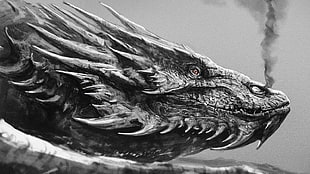 gray scale photo of dragon