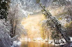 lake surrounded by snow, winter