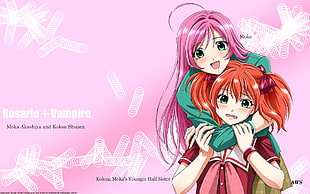 Rosario Vampire manga poster, Rosario + Vampire, Akashiya Moka, kokoa shuzen HD wallpaper