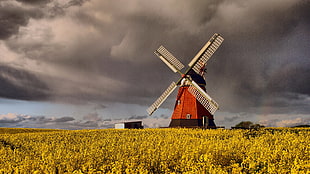 wind mill on farm under cloudy sky, Denmark, windmill, clouds, grain HD wallpaper