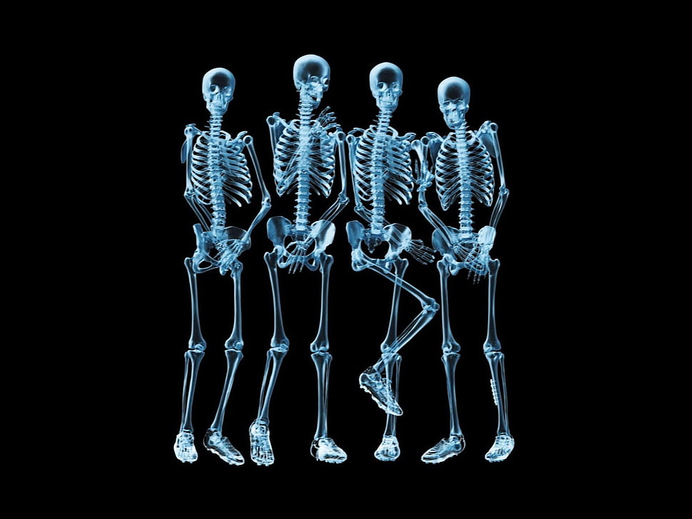 silver-colored beaded hook earrings, x-rays, skeleton HD wallpaper