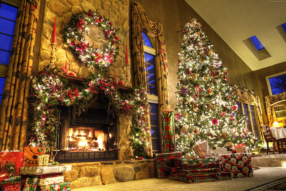 lighted green Christmas tree near lighted fireplace HD wallpaper