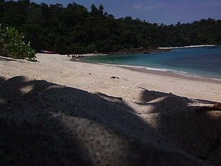 beige beach sand, beach