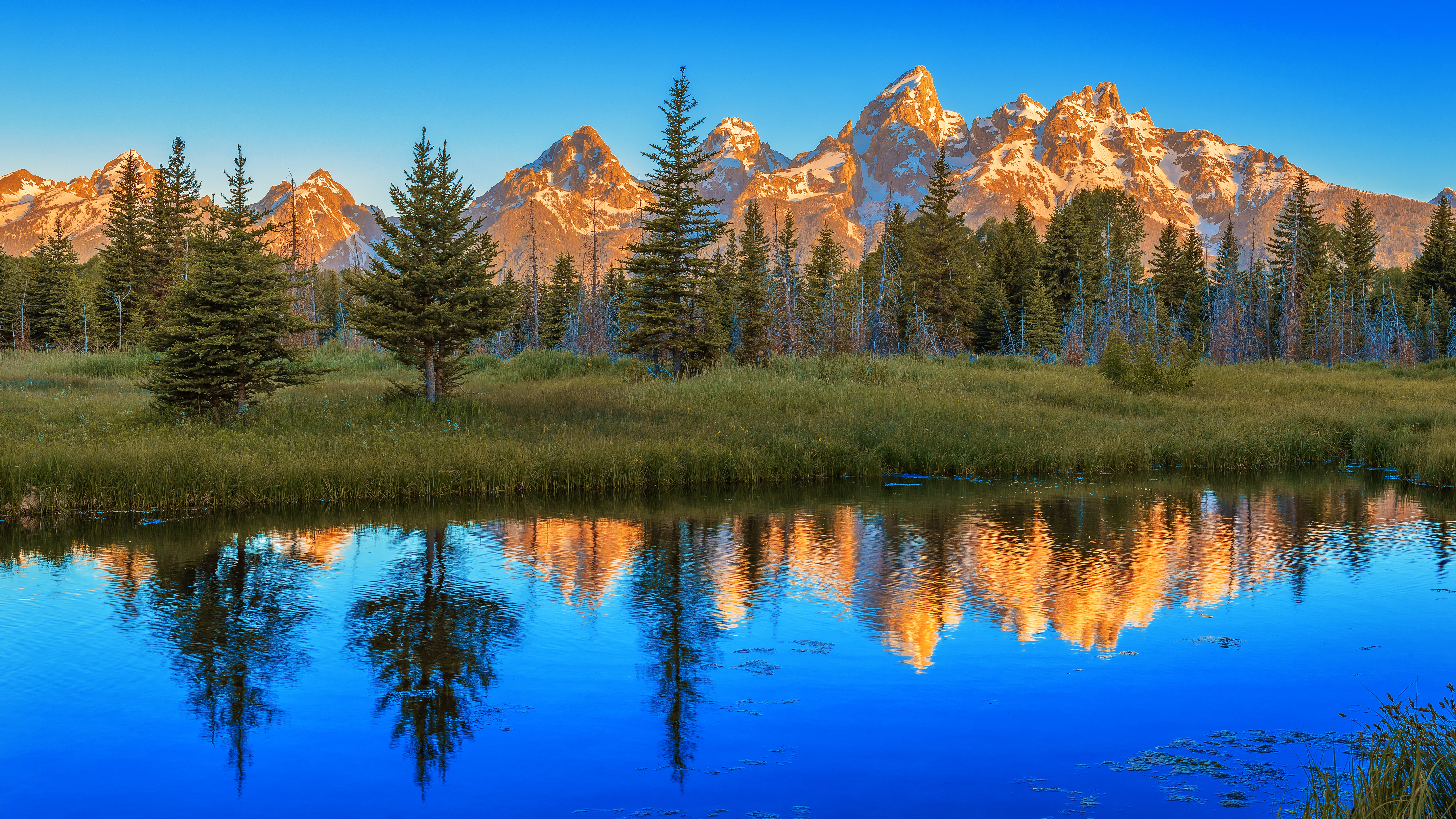 panoramic photo of mountains and trees, grand teton np