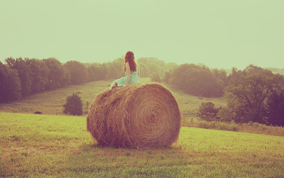 woman in blue dress sitting on hay roll during daytime HD wallpaper