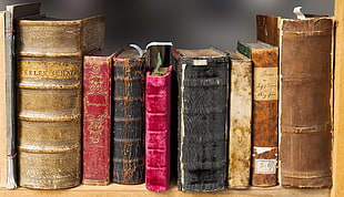 assorted books collection HD wallpaper