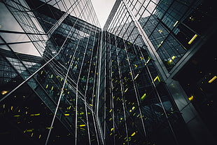 low-angle photography of high-rise buliding, architecture, building, reflection, cityscape