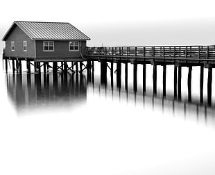 grayscale photography of wooden house on body of water