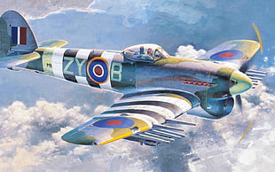 blue, black, and yellow biplane illustration, World War II, airplane, aircraft, Hawker Typhoon