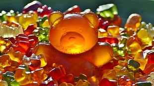 gummy bears, animals, bears, gummy bears, sweets HD wallpaper