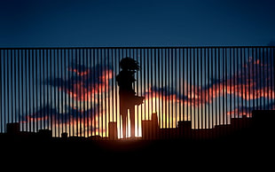 silhouette of woman near fence