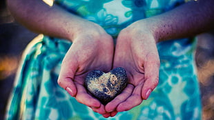 person holding heart shape stone