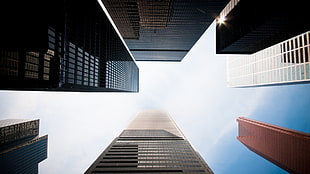 high-rise buildings, cityscape, worm's eye view, skycrapers