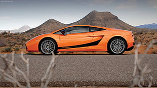orange sports coupe, car, Lamborghini, lamborghini gallardo superleggera HD wallpaper