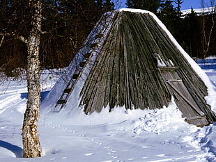 photo of brown wooden tepee near bare trees
