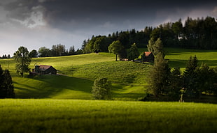 landscape photo of hills and house, teufen, appenzell