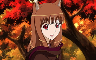 brown haired female anime character, Spice and Wolf
