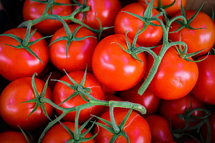 red cherry tomatoes, Tomatoes, Vegetables, Branch