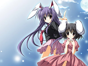 purple haired female anime character near girl with black haired anime character