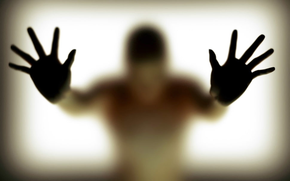 person leaning on glass HD wallpaper