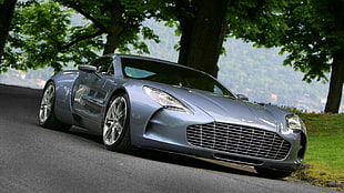 gray super car, car, Aston Martin, vehicle HD wallpaper