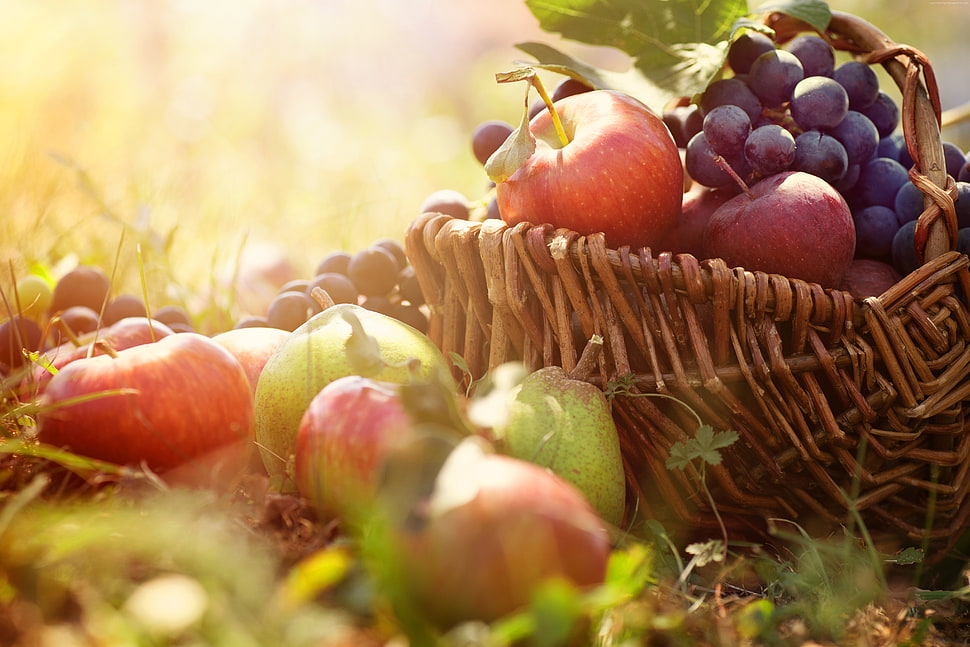 red and purple apple and grape fruits in basket during daytime HD wallpaper