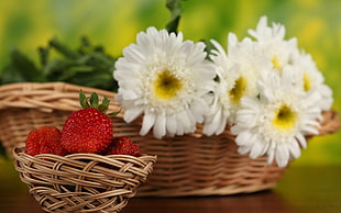 Strawberries,  Flowers,  Basket,  Berries HD wallpaper