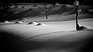snowfield, monochrome HD wallpaper