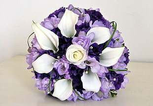 white and purple petaled flowers open white surface
