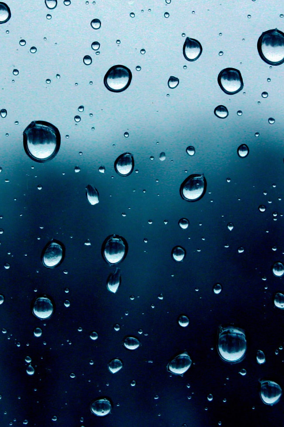 Photograph of water droplets on clear glass panel HD wallpaper | Wallpaper  Flare