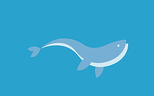 Dolphin,  Swim,  Fish,  Graphics HD wallpaper