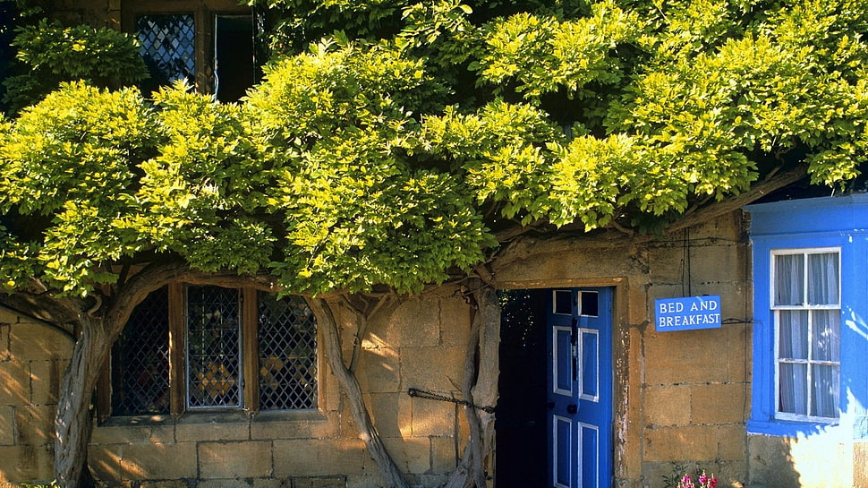 house HD wallpaper
