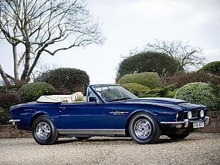 photography of classic blue Ford Mustang convertible