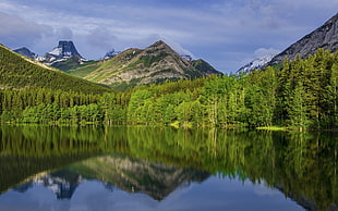 green trees, green and brown mountains under white and blue sky