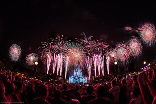 fireworks, Disney, fireworks, people, night HD wallpaper