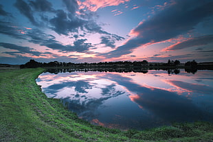 green grass field and body of water HD wallpaper