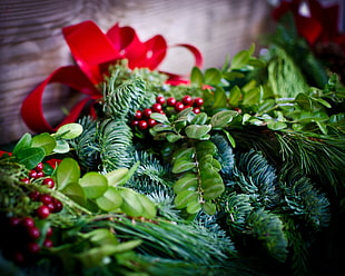 leaf plants, Christmas decorations, Decoration, Composition HD wallpaper