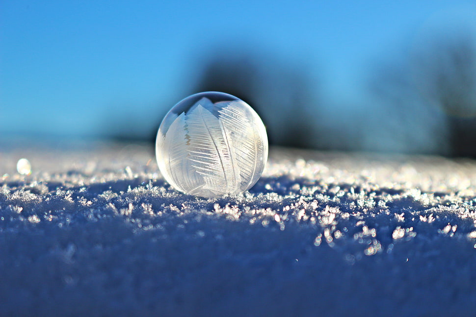 clear glass bowl HD wallpaper