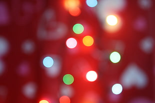 orange and green bokeh lights