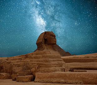 Sphinx during night time