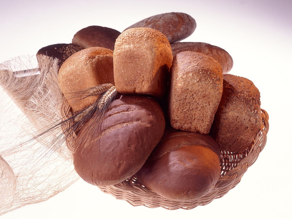 brown breads HD wallpaper