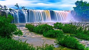 waterfalls near green grass plant at daytime