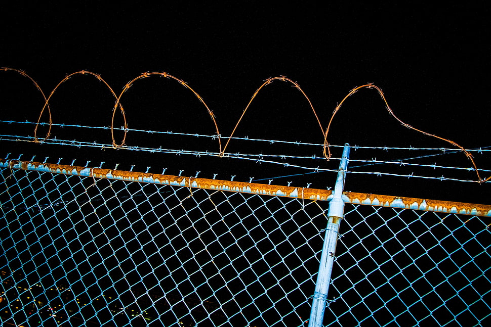 blue and brown chain-link fence HD wallpaper