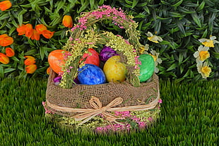 multi-colored egg on brown wicker basket HD wallpaper