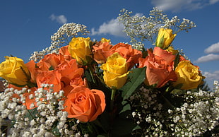 orange and yellow Rose flower arrangement