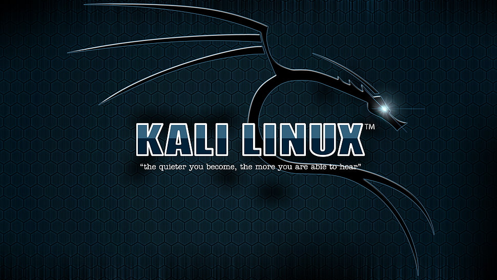 Kali Linux logo, Kali Linux HD wallpaper